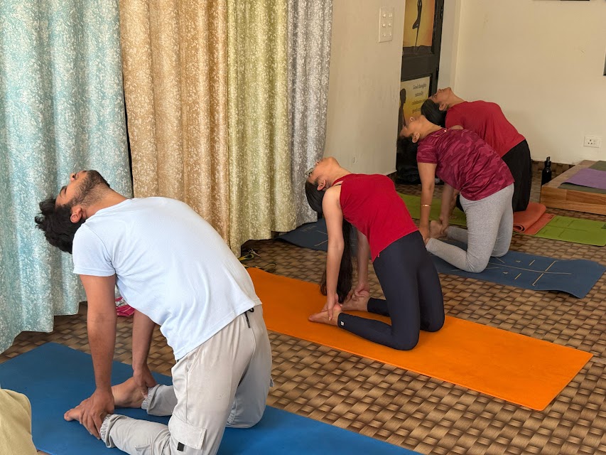 corporate-yoga-classes-in-dehradun
